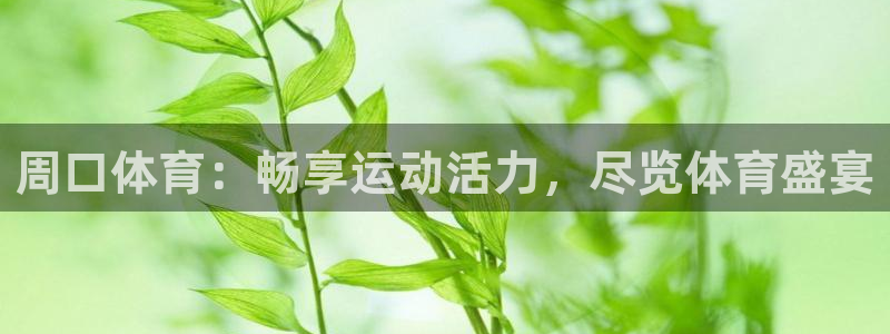 6690必发集团|周口体育：畅享运动活力，尽览体育盛宴