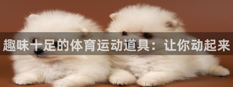 香港必发集团|趣味十足的体育运动道具：让你动起来