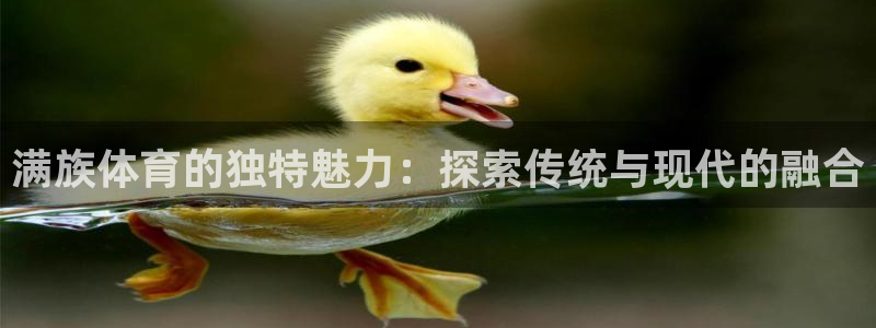 必发BIFA官方网站|满族体育的独特魅力：探索传统与现代的融