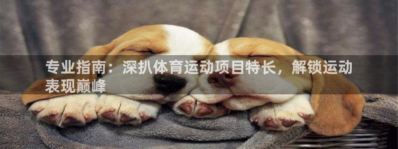 必发集团最新版本|专业指南：深扒体育运动项目特长，解锁运动
