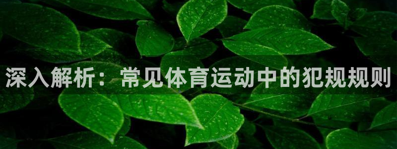 7790必发集团下载|深入解析：常见体育运动中的犯规规则