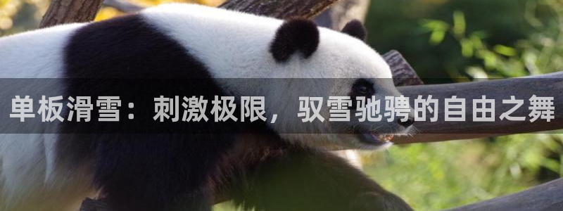 必发集团app下载