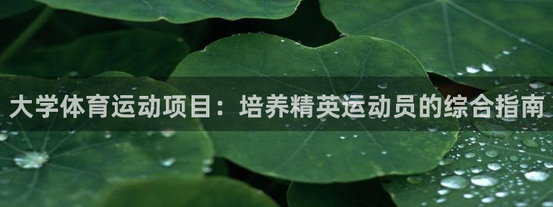 必发集团官网平台|大学体育运动项目：培养精英运动员的综合指南