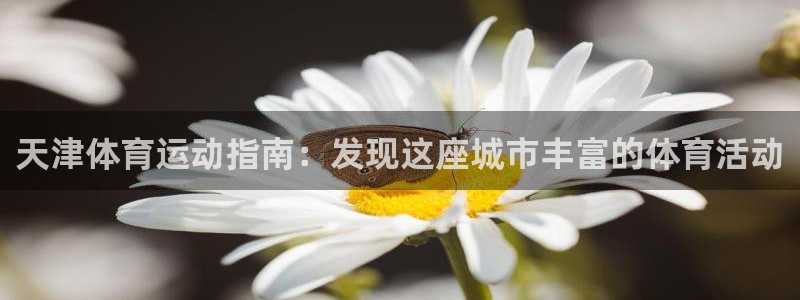 必发集团app|天津体育运动指南：发现这座城市丰富的体育活动