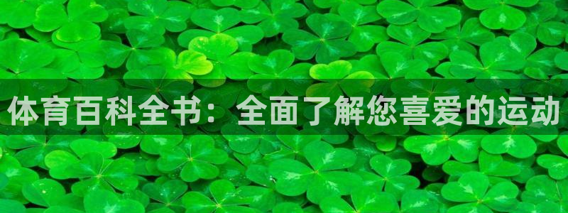必发集团网站