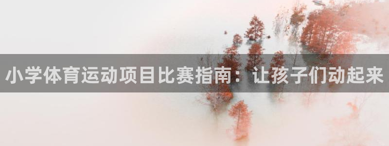 必发7790全部平台|小学体育运动项目比赛指南：让孩子们动起