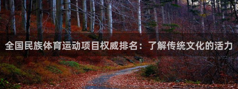 澳门必发集团|全国民族体育运动项目权威排名：了解传统文化的活