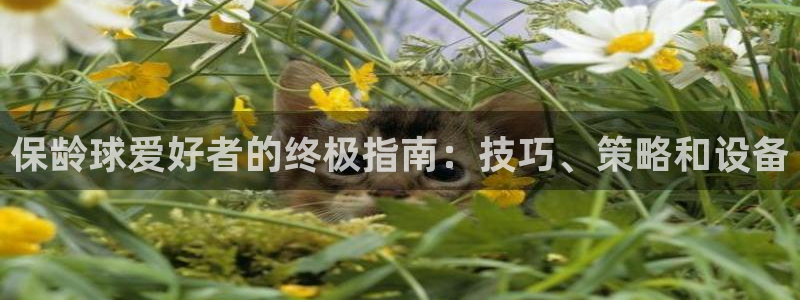 bifa必发唯一官网主页|保龄球爱好者的终极指南：技巧、策略