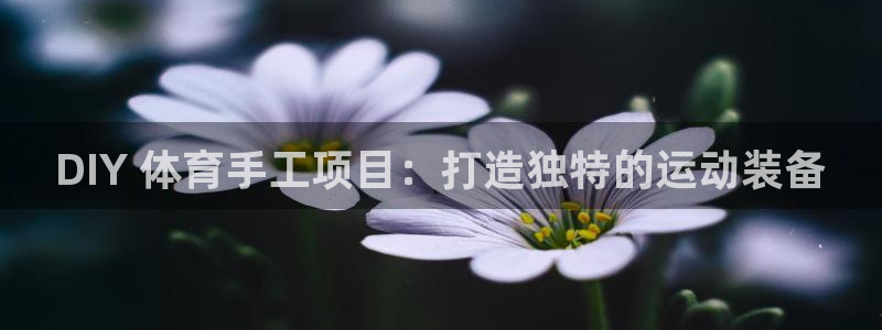 welcome必发集团|DIY 体育手工项目：打造独特的运动