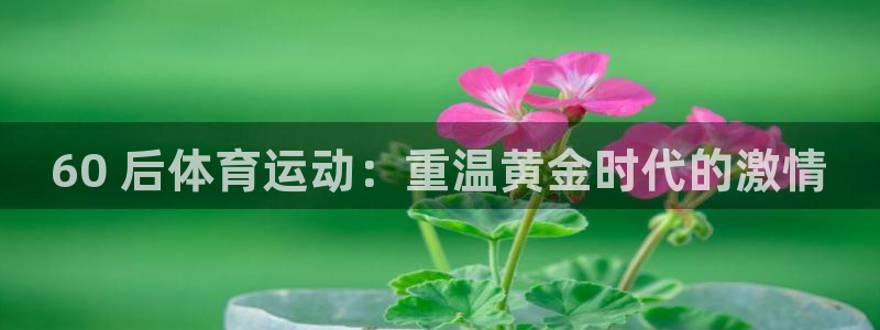 必发集团官网平台