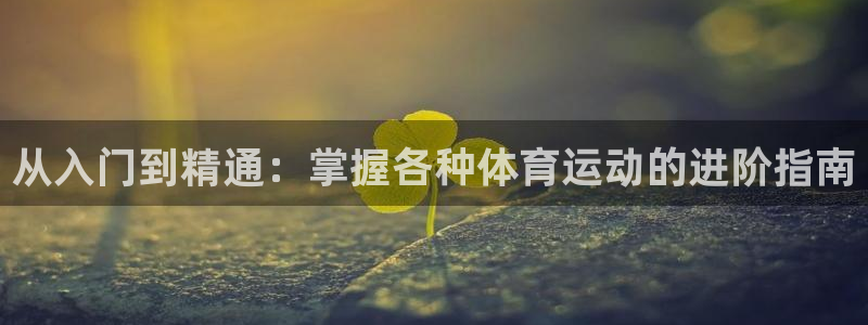 必发集团平台|从入门到精通：掌握各种体育运动的进阶指南