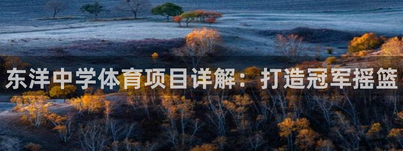 必发集团|东洋中学体育项目详解：打造冠军摇篮