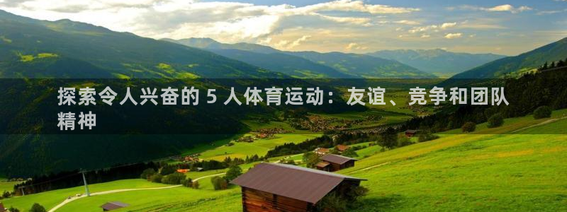 必发88官网|探索令人兴奋的 5 人体育运动：友谊、竞争和团