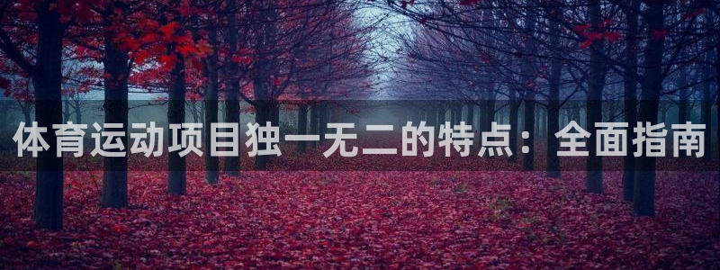 必发集团最新版本|体育运动项目独一无二的特点：全面指南