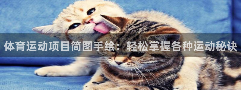 体育运动项目简图手绘：轻松掌握各种运动秘诀
