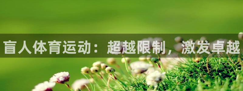 盲人体育运动：超越限制，激发卓越