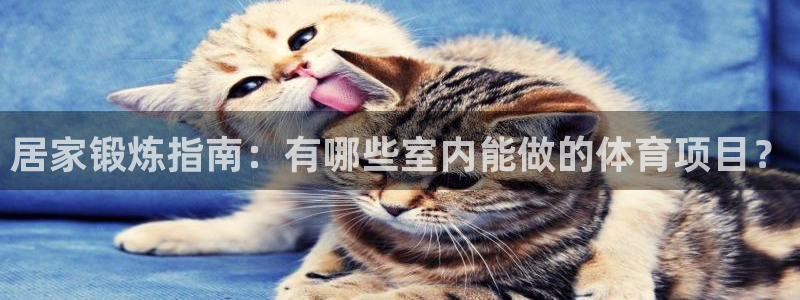 居家锻炼指南：有哪些室内能做的体育项目？
