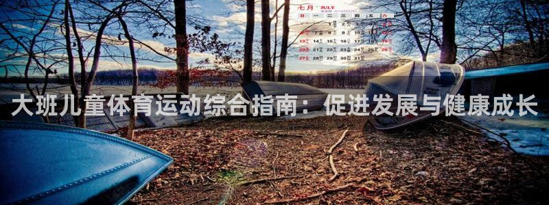 必发888唯一官网|大班儿童体育运动综合指南：促进发展与健康