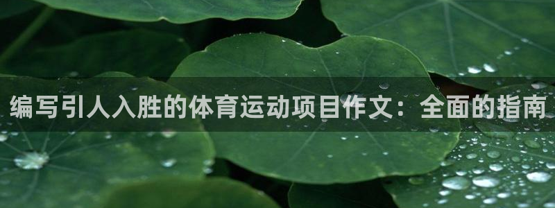 必发集团网址8860|编写引人入胜的体育运动项目作文：全面的