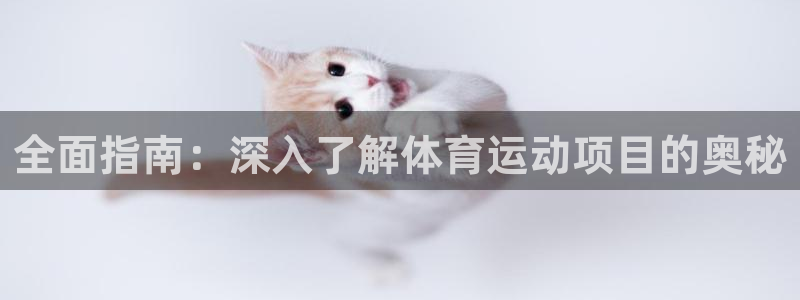 必发88手机版本登录|全面指南：深入了解体育运动项目的奥秘