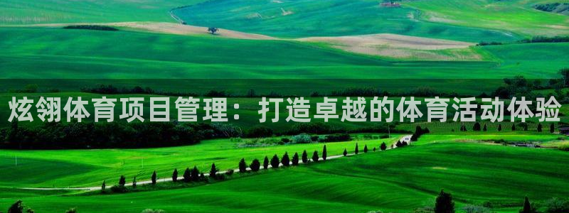 必发集团网站|炫翎体育项目管理：打造卓越的体育活动体验