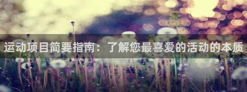 必发集团网站app|运动项目简要指南：了解您最喜爱的活动的本