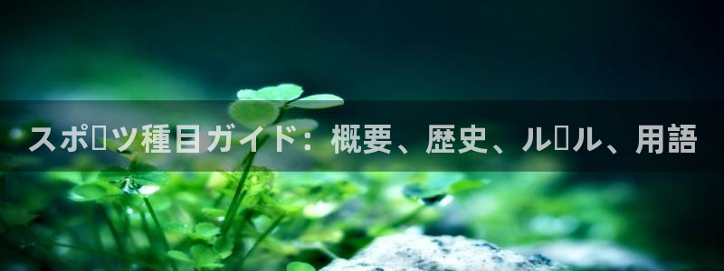 必发888唯一官网|スポーツ種目ガイド：概要、歴史、ルール、
