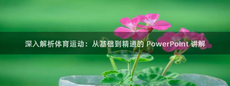 必发集团网站app