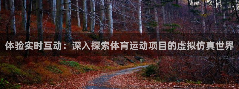 必发集团所有平台大全|体验实时互动：深入探索体育运动项目的虚