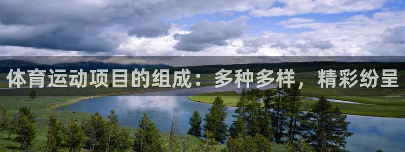 必发集团欢迎光临|体育运动项目的组成：多种多样，精彩纷呈