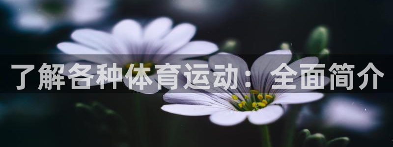 必发集团官方网站|了解各种体育运动：全面简介