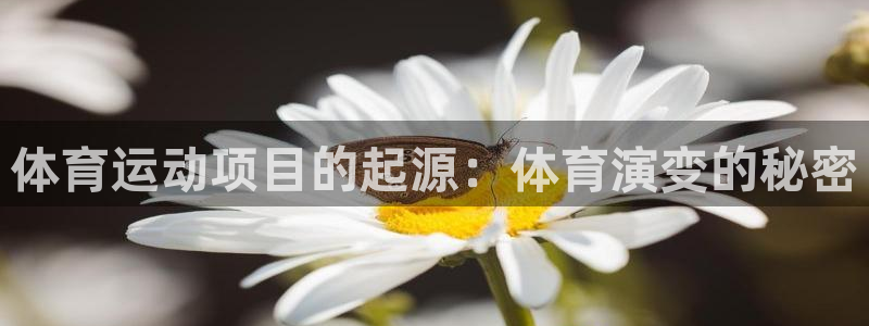 必发bf88