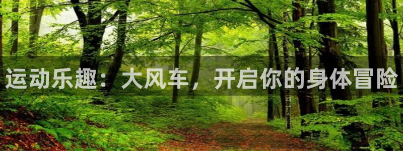 必发bf88|运动乐趣：大风车，开启你的身体冒险
