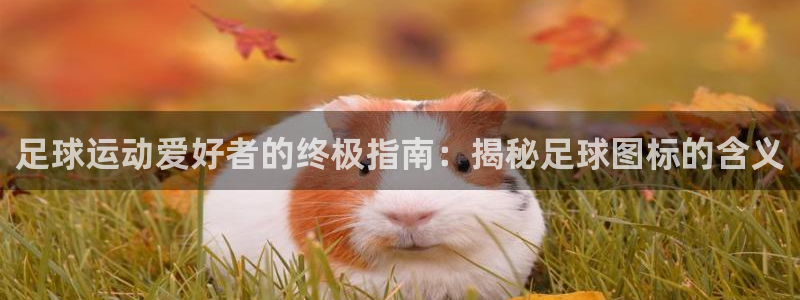 必发集团网站大全|足球运动爱好者的终极指南：揭秘足球图标的含