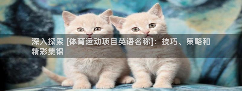 必发888唯一官网|深入探索 [体育运动项目英语名称]：技巧