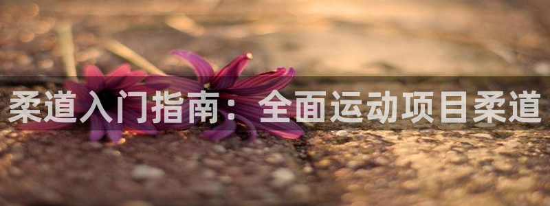 必发集团登录入口7790